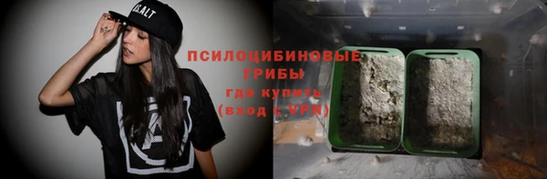 винт Арсеньев