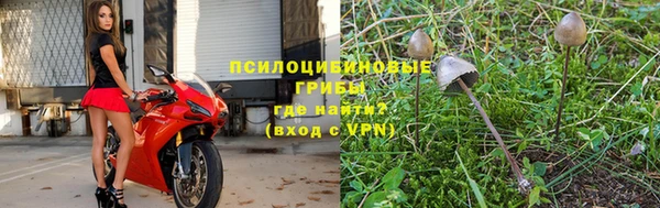 гашиш Аркадак