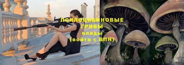 гашиш Аркадак
